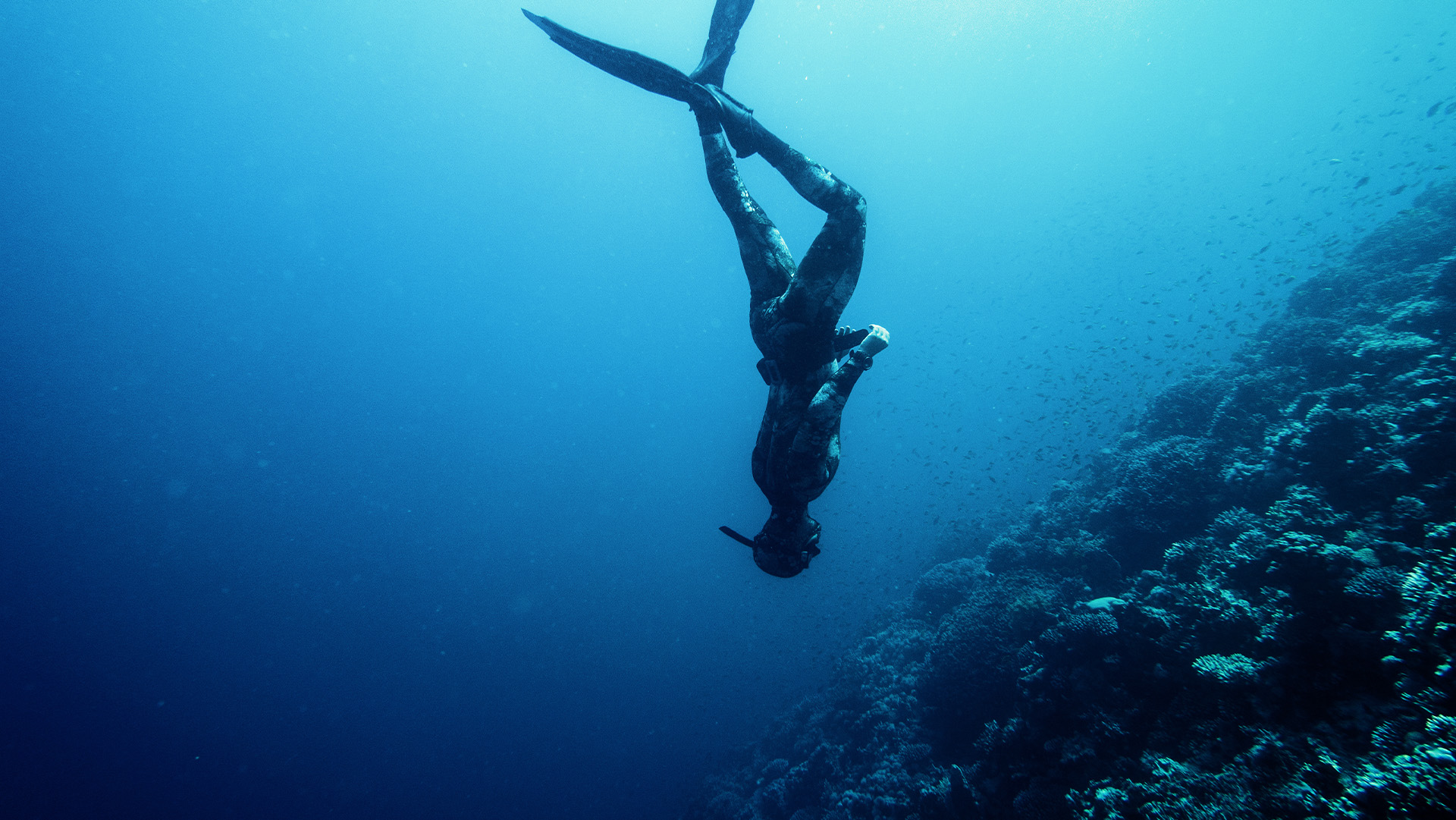 Explorez les fonds marins